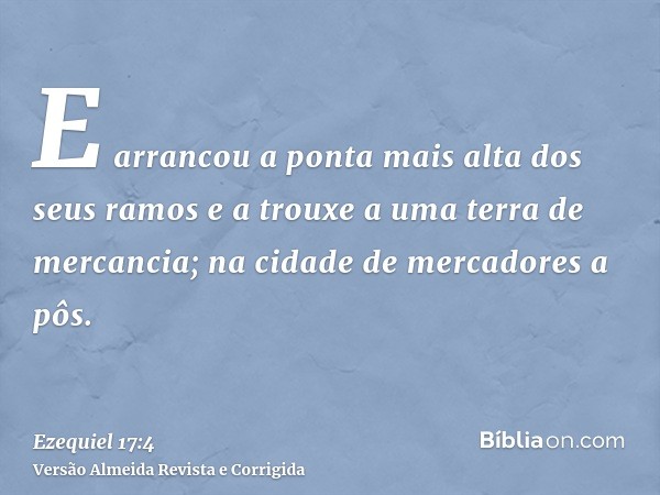 E arrancou a ponta mais alta dos seus ramos e a trouxe a uma terra de mercancia; na cidade de mercadores a pôs.