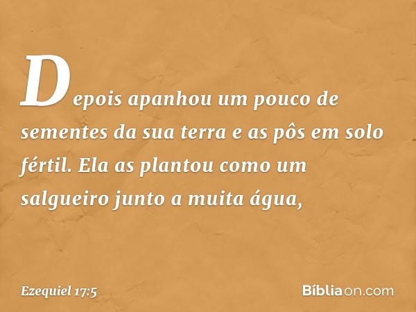 "Depois apanhou um pouco de sementes da sua terra e as pôs em solo fértil. Ela as plantou como um salgueiro junto a muita água, -- Ezequiel 17:5