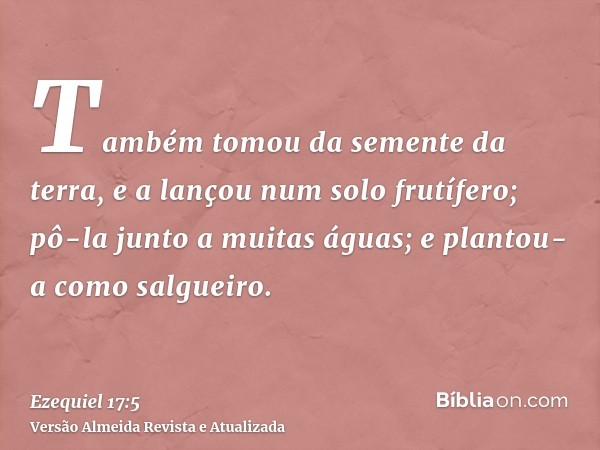 Também tomou da semente da terra, e a lançou num solo frutífero; pô-la junto a muitas águas; e plantou-a como salgueiro.