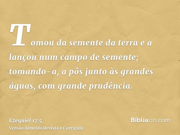 Tomou da semente da terra e a lançou num campo de semente; tomando-a, a pôs junto às grandes águas, com grande prudência.
