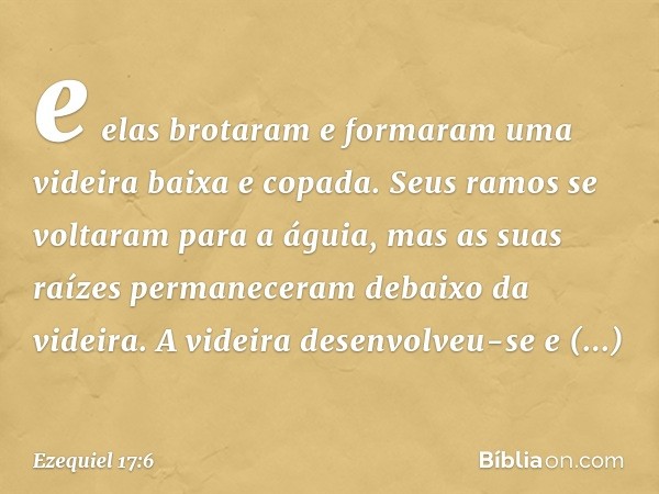 e elas brotaram e formaram uma videira baixa e copada. Seus ramos se voltaram para a águia, mas as suas raízes permaneceram debaixo da videira. A videira desenv