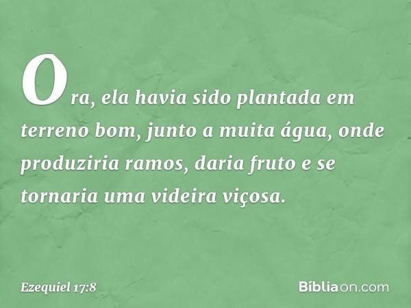 Ora, ela havia sido plantada em terreno bom, junto a muita água, onde produziria ramos, daria fruto e se tornaria uma videira viçosa. -- Ezequiel 17:8