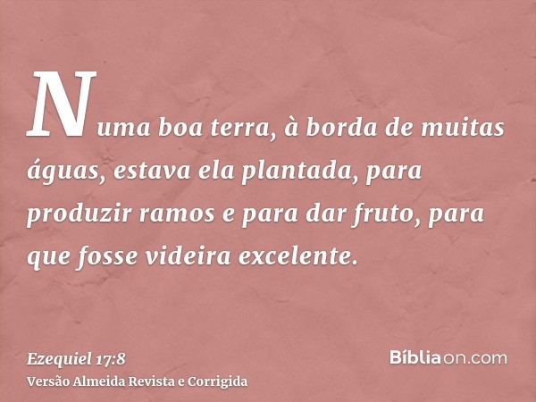 Numa boa terra, à borda de muitas águas, estava ela plantada, para produzir ramos e para dar fruto, para que fosse videira excelente.
