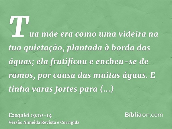 Tua mãe era como uma videira na tua quietação, plantada à borda das águas; ela frutificou e encheu-se de ramos, por causa das muitas águas.E tinha varas fortes 