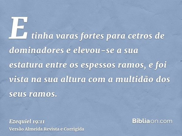 E tinha varas fortes para cetros de dominadores e elevou-se a sua estatura entre os espessos ramos, e foi vista na sua altura com a multidão dos seus ramos.