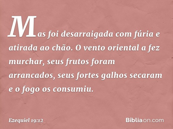 Mas foi desarraigada com fúria
e atirada ao chão.
O vento oriental a fez murchar,
seus frutos foram arrancados,
seus fortes galhos secaram
e o fogo os consumiu.