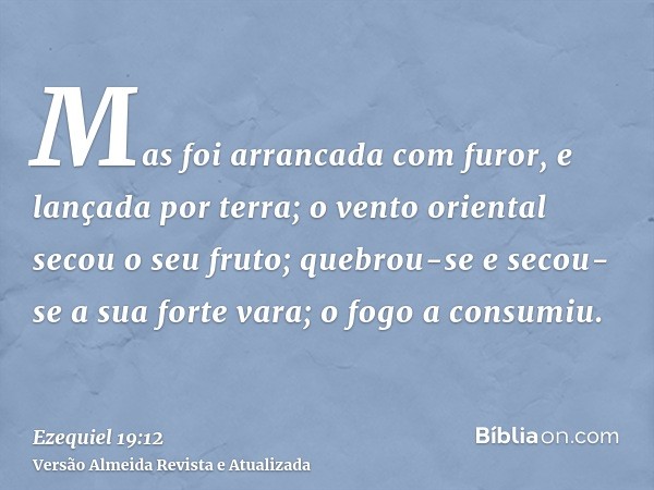 Mas foi arrancada com furor, e lançada por terra; o vento oriental secou o seu fruto; quebrou-se e secou-se a sua forte vara; o fogo a consumiu.