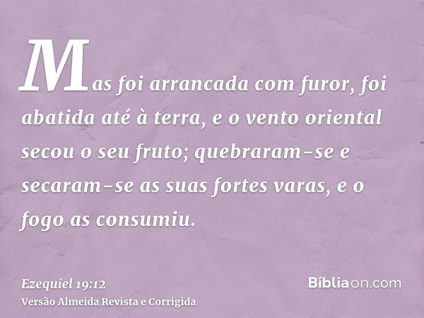 Mas foi arrancada com furor, foi abatida até à terra, e o vento oriental secou o seu fruto; quebraram-se e secaram-se as suas fortes varas, e o fogo as consumiu