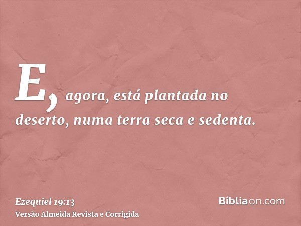E, agora, está plantada no deserto, numa terra seca e sedenta.