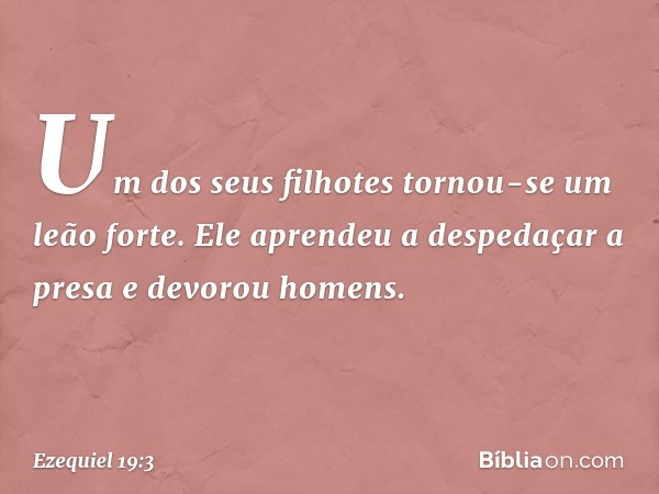 Um dos seus filhotes
tornou-se um leão forte.
Ele aprendeu a despedaçar a presa
e devorou homens. -- Ezequiel 19:3