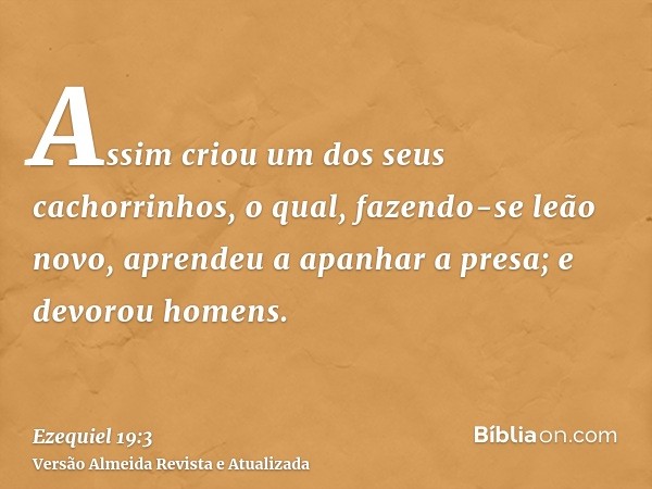 Assim criou um dos seus cachorrinhos, o qual, fazendo-se leão novo, aprendeu a apanhar a presa; e devorou homens.