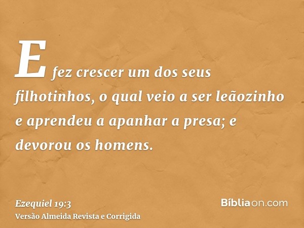 E fez crescer um dos seus filhotinhos, o qual veio a ser leãozinho e aprendeu a apanhar a presa; e devorou os homens.