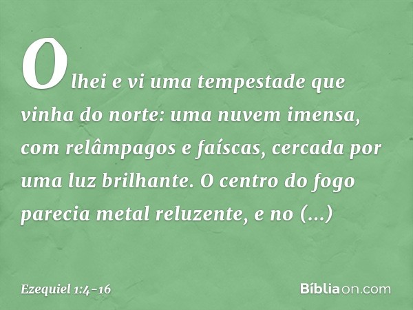 Olhei e vi uma tempestade que vinha do norte: uma nuvem imensa, com relâmpagos e faíscas, cercada por uma luz brilhante. O centro do fogo parecia metal reluzent