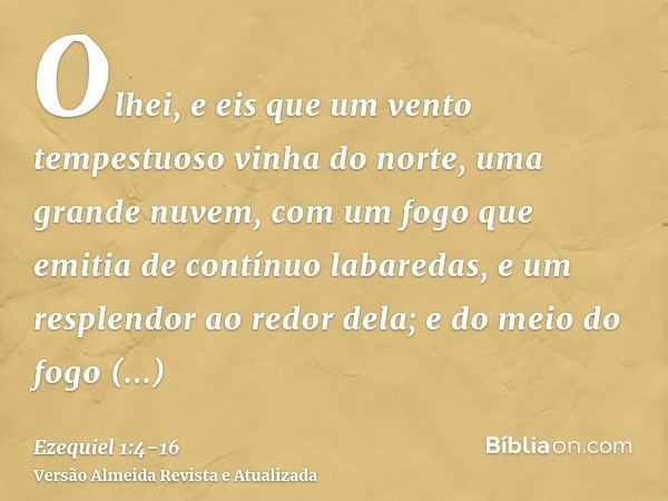 Olhei, e eis que um vento tempestuoso vinha do norte, uma grande nuvem, com um fogo que emitia de contínuo labaredas, e um resplendor ao redor dela; e do meio d
