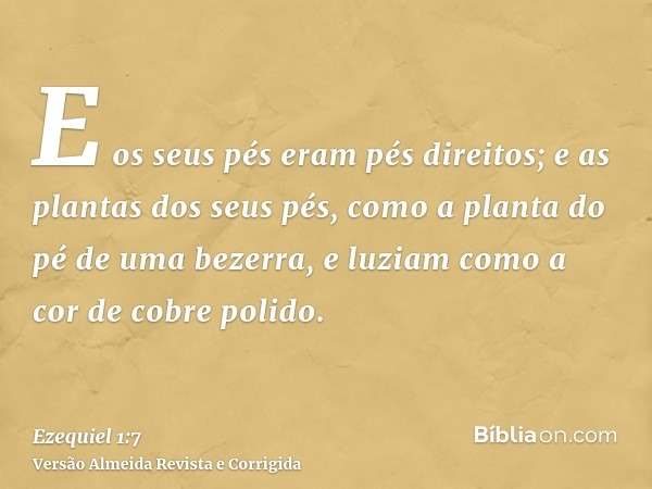 E os seus pés eram pés direitos; e as plantas dos seus pés, como a planta do pé de uma bezerra, e luziam como a cor de cobre polido.