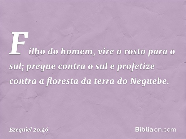 "Fi­lho do homem, vire o rosto para o sul; pregue contra o sul e profetize contra a floresta da terra do Neguebe. -- Ezequiel 20:46