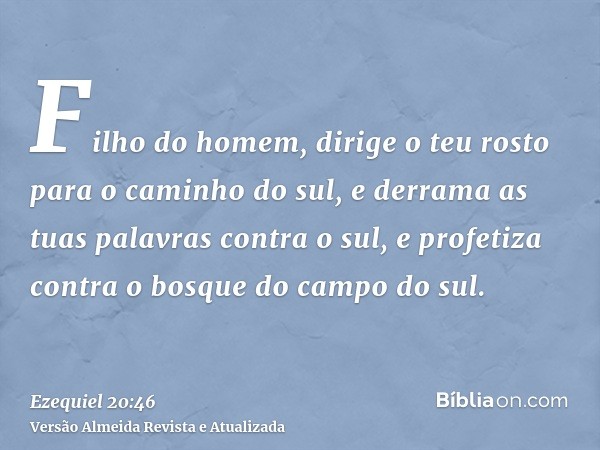 Filho do homem, dirige o teu rosto para o caminho do sul, e derrama as tuas palavras contra o sul, e profetiza contra o bosque do campo do sul.