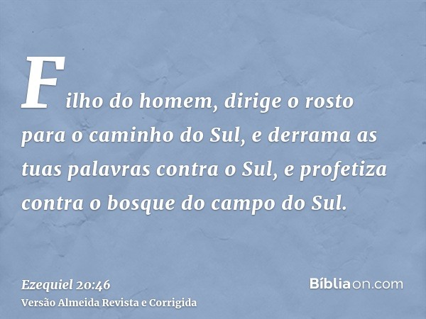 Filho do homem, dirige o rosto para o caminho do Sul, e derrama as tuas palavras contra o Sul, e profetiza contra o bosque do campo do Sul.
