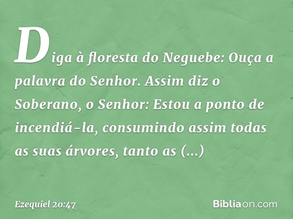 Diga à floresta do Neguebe: Ouça a palavra do Senhor. Assim diz o Soberano, o Senhor: Estou a ponto de incendiá-la, consumindo assim todas as suas árvores, tant