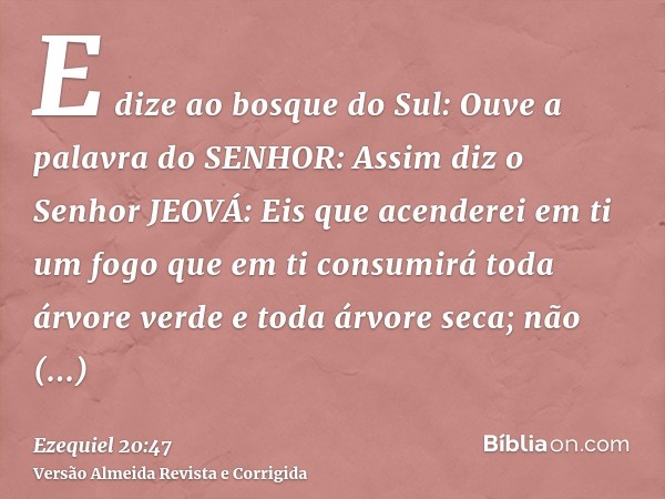 E dize ao bosque do Sul: Ouve a palavra do SENHOR: Assim diz o Senhor JEOVÁ: Eis que acenderei em ti um fogo que em ti consumirá toda árvore verde e toda árvore