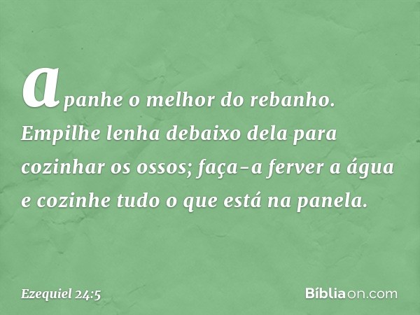 apanhe o melhor do rebanho.
Empilhe lenha debaixo dela
para cozinhar os ossos;
faça-a ferver a água e cozinhe tudo
o que está na panela. -- Ezequiel 24:5