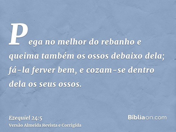 Pega no melhor do rebanho e queima também os ossos debaixo dela; fá-la ferver bem, e cozam-se dentro dela os seus ossos.