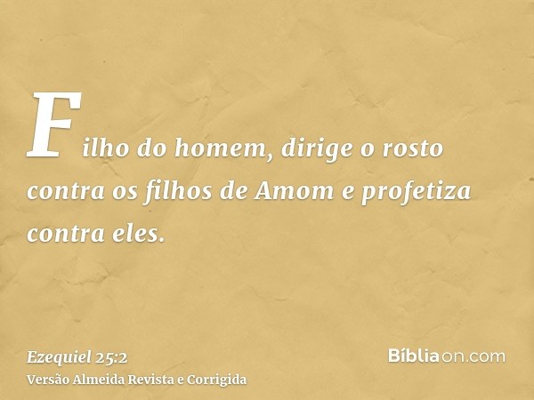 Filho do homem, dirige o rosto contra os filhos de Amom e profetiza contra eles.