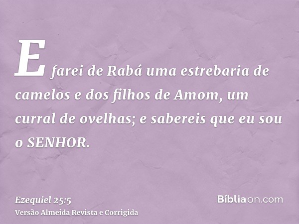 E farei de Rabá uma estrebaria de camelos e dos filhos de Amom, um curral de ovelhas; e sabereis que eu sou o SENHOR.