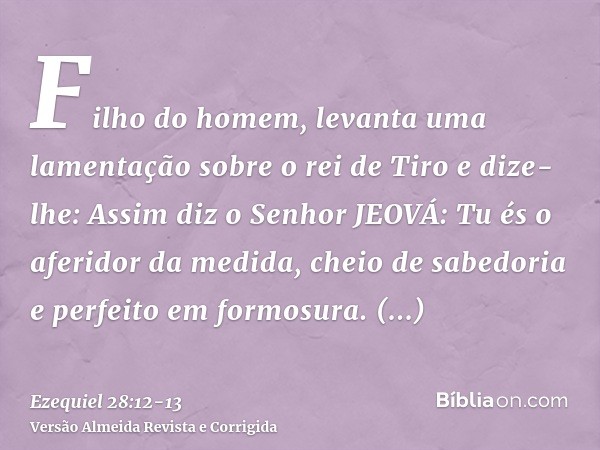 Filho do homem, levanta uma lamentação sobre o rei de Tiro e dize-lhe: Assim diz o Senhor JEOVÁ: Tu és o aferidor da medida, cheio de sabedoria e perfeito em fo