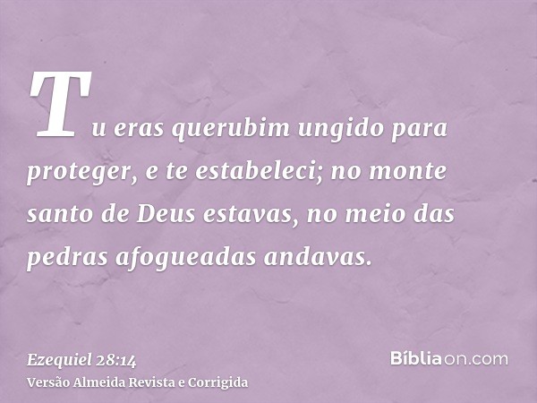 Tu eras querubim ungido para proteger, e te estabeleci; no monte santo de Deus estavas, no meio das pedras afogueadas andavas.