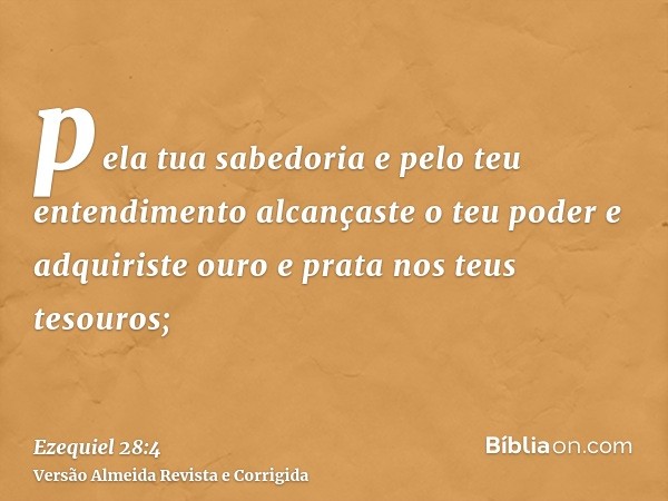 pela tua sabedoria e pelo teu entendimento alcançaste o teu poder e adquiriste ouro e prata nos teus tesouros;