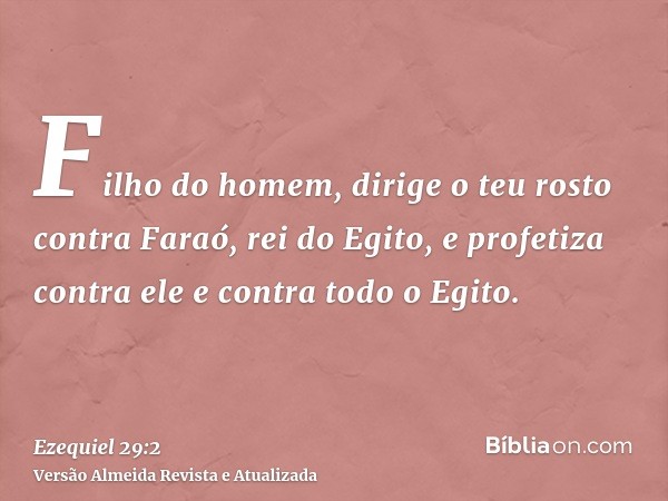 Filho do homem, dirige o teu rosto contra Faraó, rei do Egito, e profetiza contra ele e contra todo o Egito.