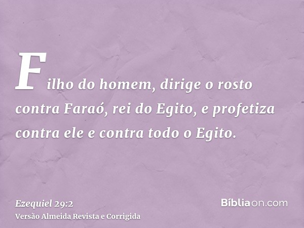 Filho do homem, dirige o rosto contra Faraó, rei do Egito, e profetiza contra ele e contra todo o Egito.