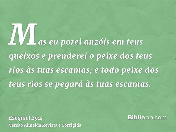 Mas eu porei anzóis em teus queixos e prenderei o peixe dos teus rios às tuas escamas; e todo peixe dos teus rios se pegará às tuas escamas.