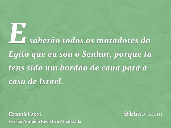 E saberão todos os moradores do Egito que eu sou o Senhor, porque tu tens sido um bordão de cana para a casa de Israel.