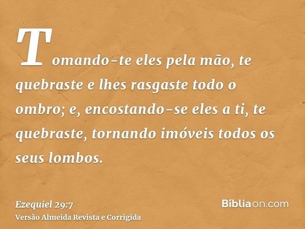 Tomando-te eles pela mão, te quebraste e lhes rasgaste todo o ombro; e, encostando-se eles a ti, te quebraste, tornando imóveis todos os seus lombos.