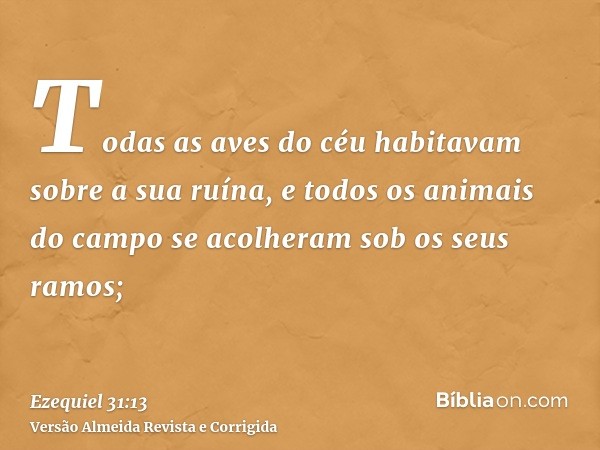 Todas as aves do céu habitavam sobre a sua ruína, e todos os animais do campo se acolheram sob os seus ramos;