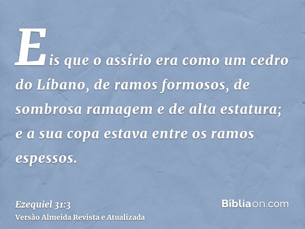 Eis que o assírio era como um cedro do Líbano, de ramos formosos, de sombrosa ramagem e de alta estatura; e a sua copa estava entre os ramos espessos.