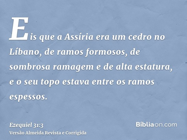 Eis que a Assíria era um cedro no Líbano, de ramos formosos, de sombrosa ramagem e de alta estatura, e o seu topo estava entre os ramos espessos.