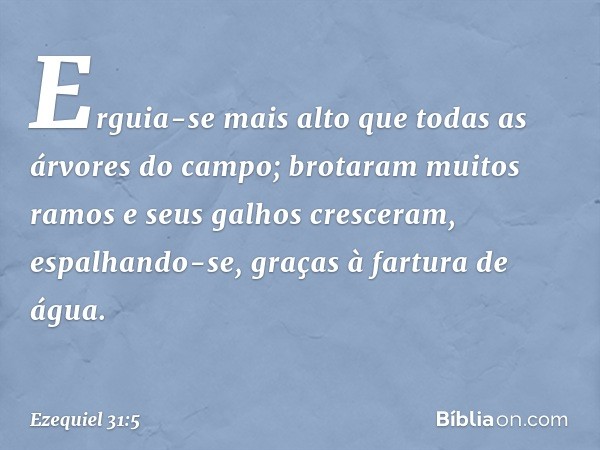 Erguia-se mais alto que
todas as árvores do campo;
brotaram muitos ramos
e seus galhos cresceram,
espalhando-se, graças à fartura de água. -- Ezequiel 31:5