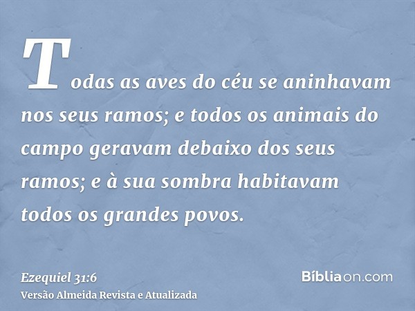 Todas as aves do céu se aninhavam nos seus ramos; e todos os animais do campo geravam debaixo dos seus ramos; e à sua sombra habitavam todos os grandes povos.