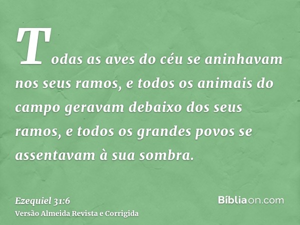 Todas as aves do céu se aninhavam nos seus ramos, e todos os animais do campo geravam debaixo dos seus ramos, e todos os grandes povos se assentavam à sua sombr