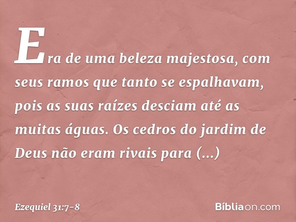 Era de uma beleza majestosa,
com seus ramos
que tanto se espalhavam,
pois as suas raízes desciam
até as muitas águas. Os cedros do jardim de Deus
não eram rivai