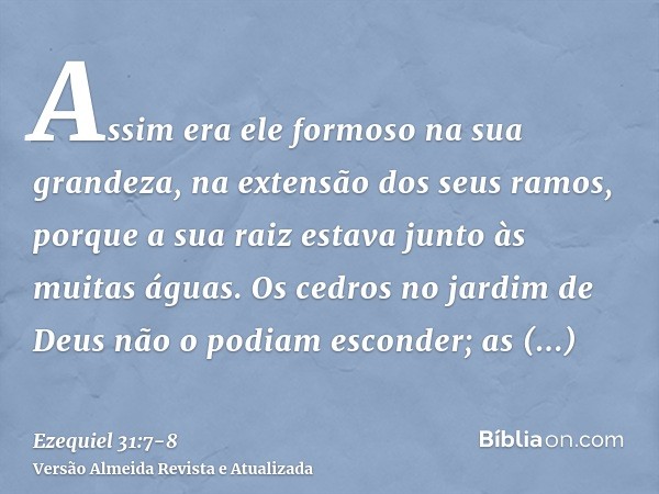 Assim era ele formoso na sua grandeza, na extensão dos seus ramos, porque a sua raiz estava junto às muitas águas.Os cedros no jardim de Deus não o podiam escon