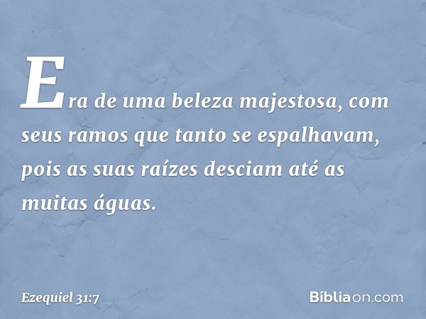 Era de uma beleza majestosa,
com seus ramos
que tanto se espalhavam,
pois as suas raízes desciam
até as muitas águas. -- Ezequiel 31:7