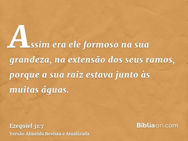 Assim era ele formoso na sua grandeza, na extensão dos seus ramos, porque a sua raiz estava junto às muitas águas.