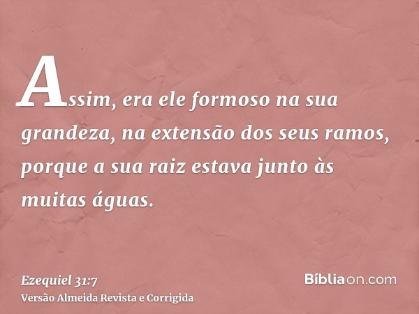 Assim, era ele formoso na sua grandeza, na extensão dos seus ramos, porque a sua raiz estava junto às muitas águas.