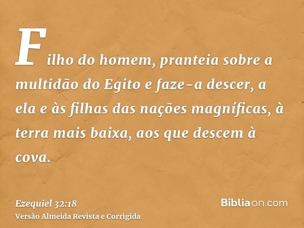 Filho do homem, pranteia sobre a multidão do Egito e faze-a descer, a ela e às filhas das nações magníficas, à terra mais baixa, aos que descem à cova.