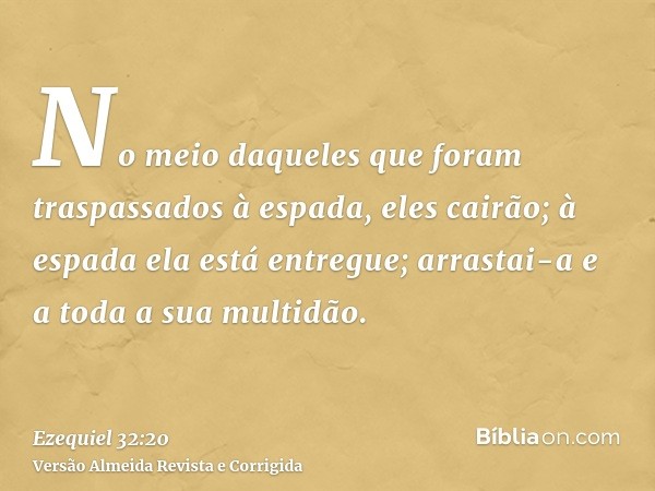 No meio daqueles que foram traspassados à espada, eles cairão; à espada ela está entregue; arrastai-a e a toda a sua multidão.