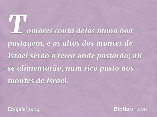 Tomarei conta delas numa boa pastagem, e os altos dos montes de Israel serão a terra onde pastarão; ali se alimentarão, num rico pasto nos montes de Israel. --